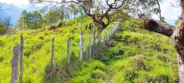 Fence along a part of the estate in Cali for sale