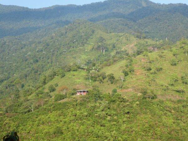 View over house and estate in Colombia for sale