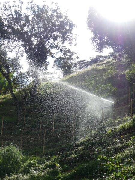 Irrigation system spraying water with sunlight shining through