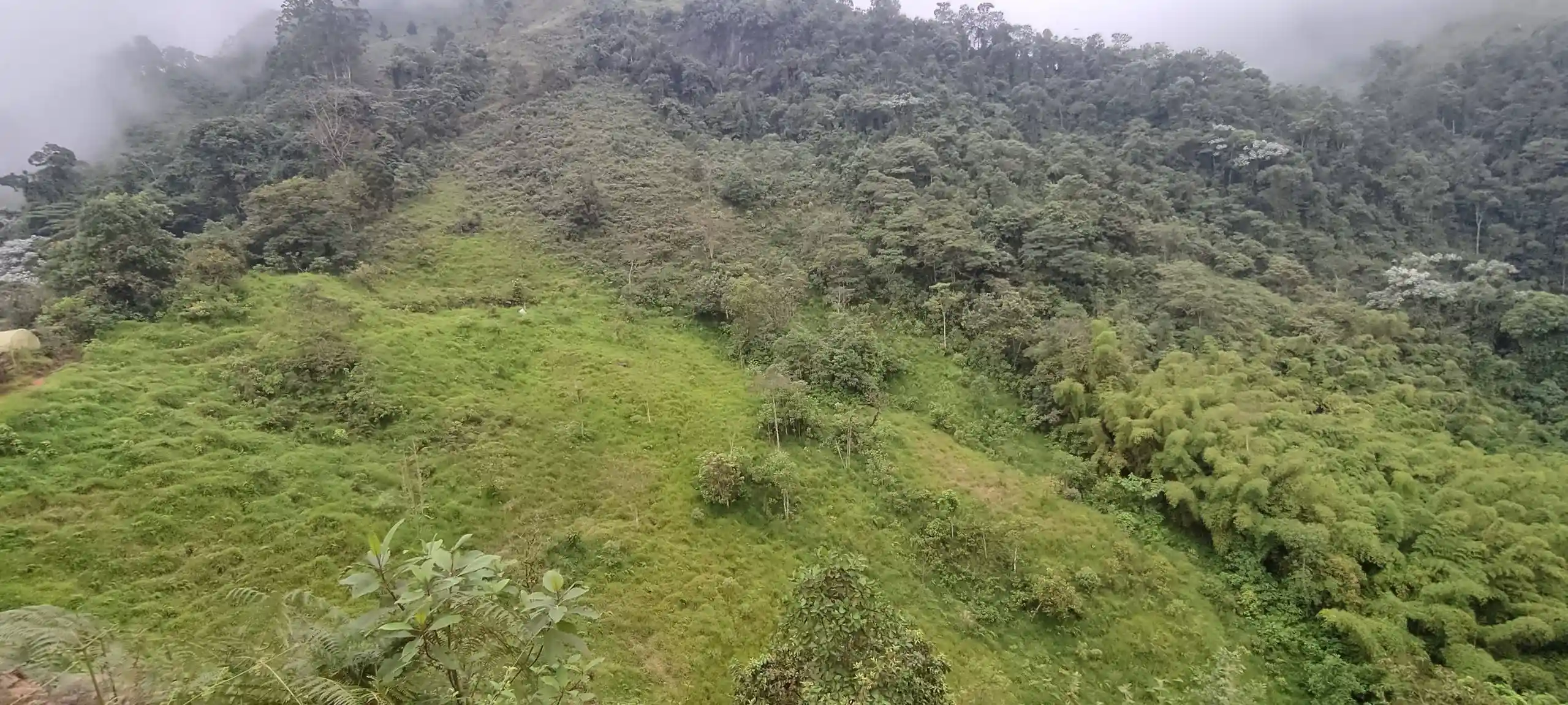 &Aacute;rea ganadera cercada Finca DosQuebradas