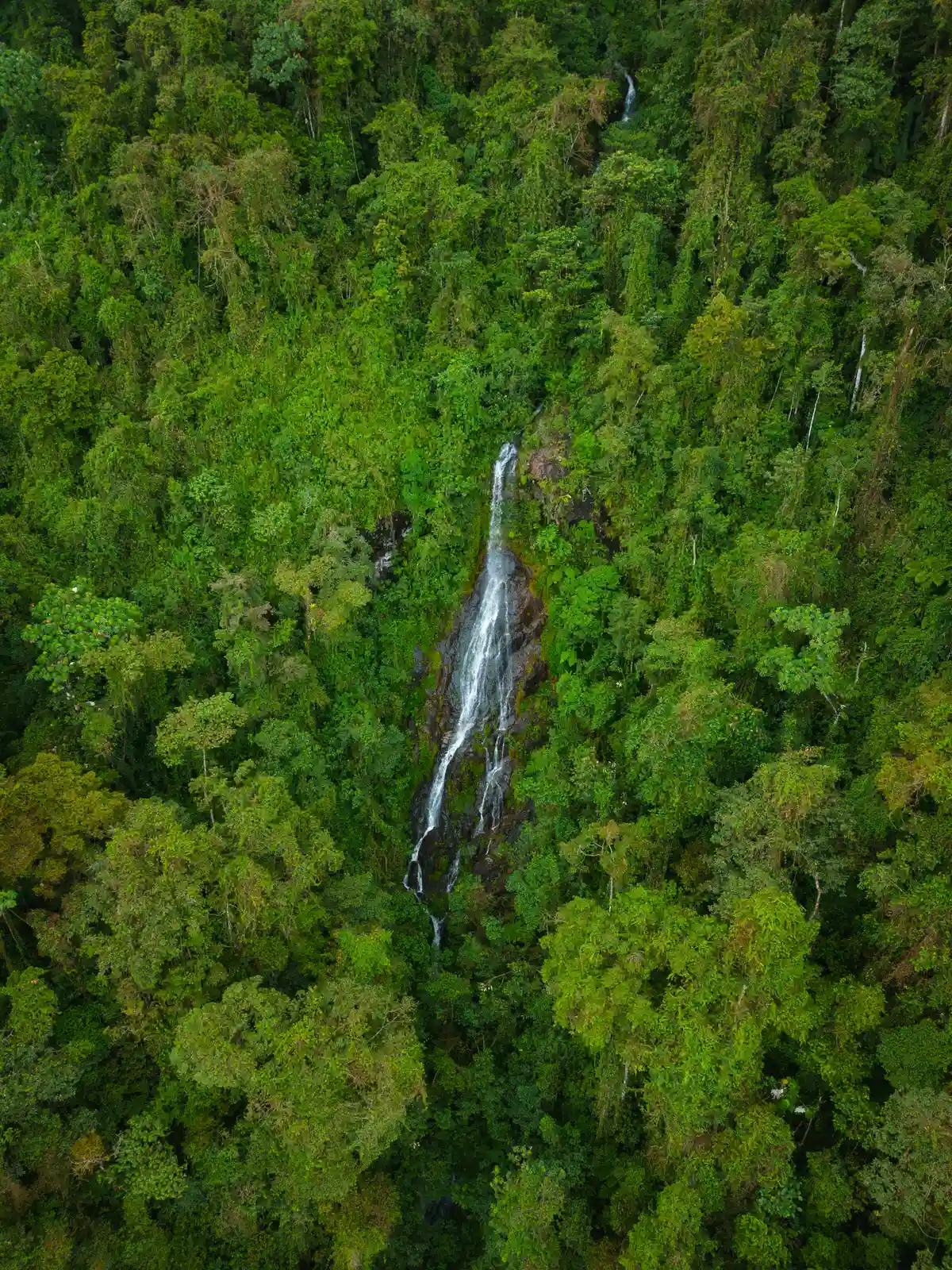 Cascada La Reina ruta a pie desde Finca DosQuebradas Villacarmelo
