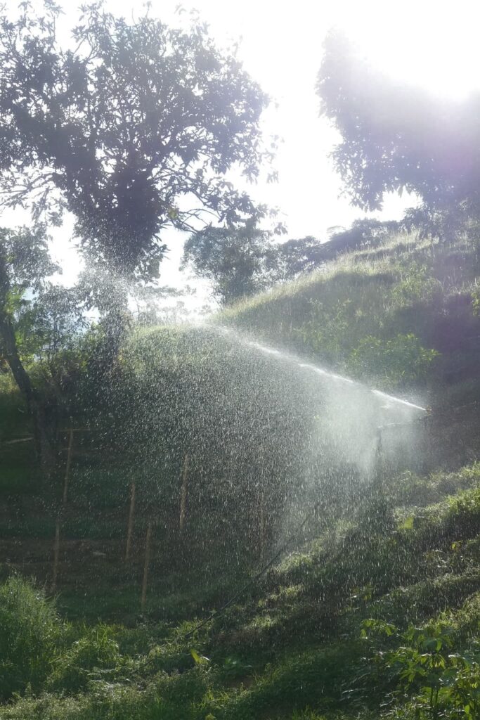 Sistema de riego con agua natural en finca en venta en Cali