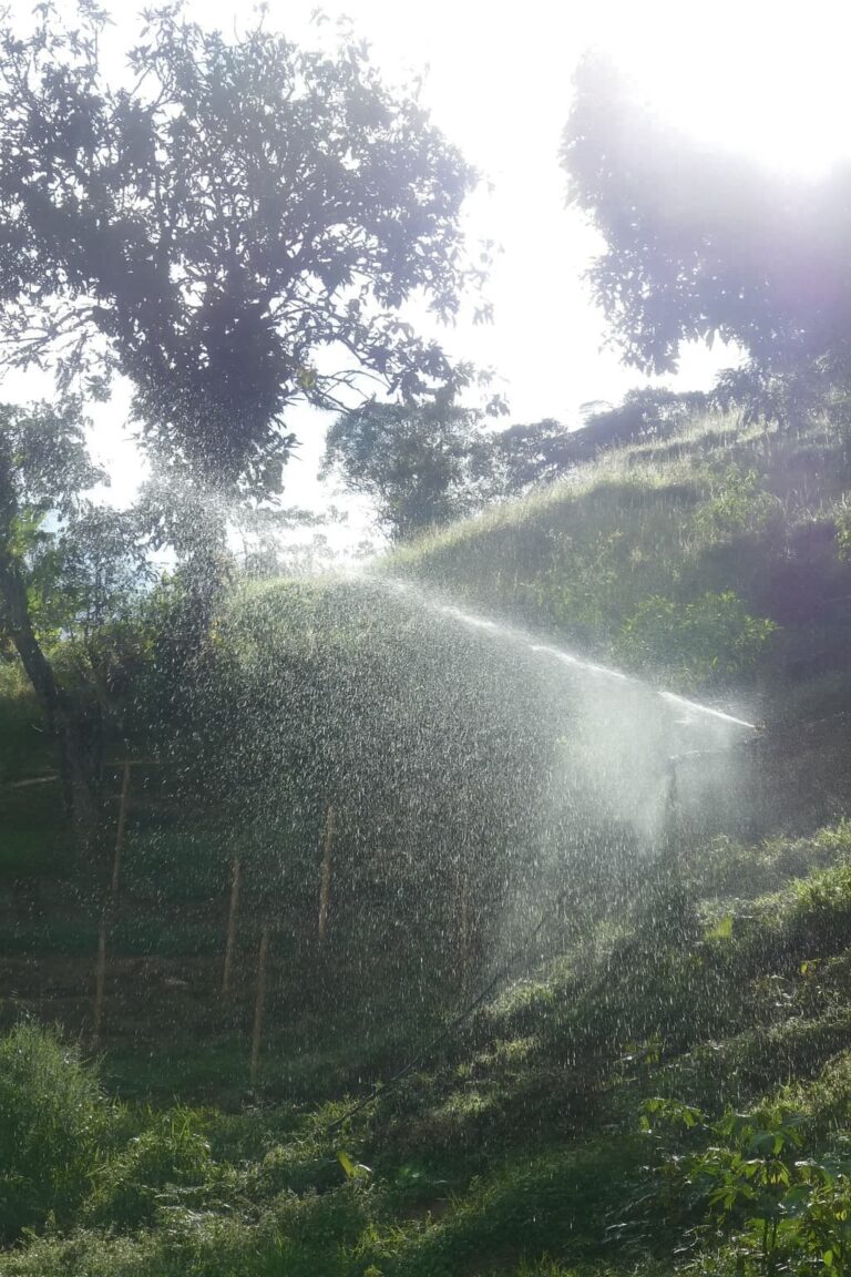 Agua de Manantial en Finca: El Activo Más Valioso que Nadie Menciona Primero