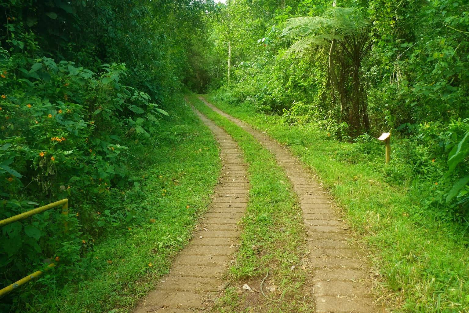 Camino de acceso Finca DosQuebradas, Villacarmelo