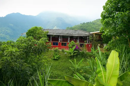 Fincas en Alquiler en el Valle del Cauca: Guía Completa para Escapadas y para Invertir