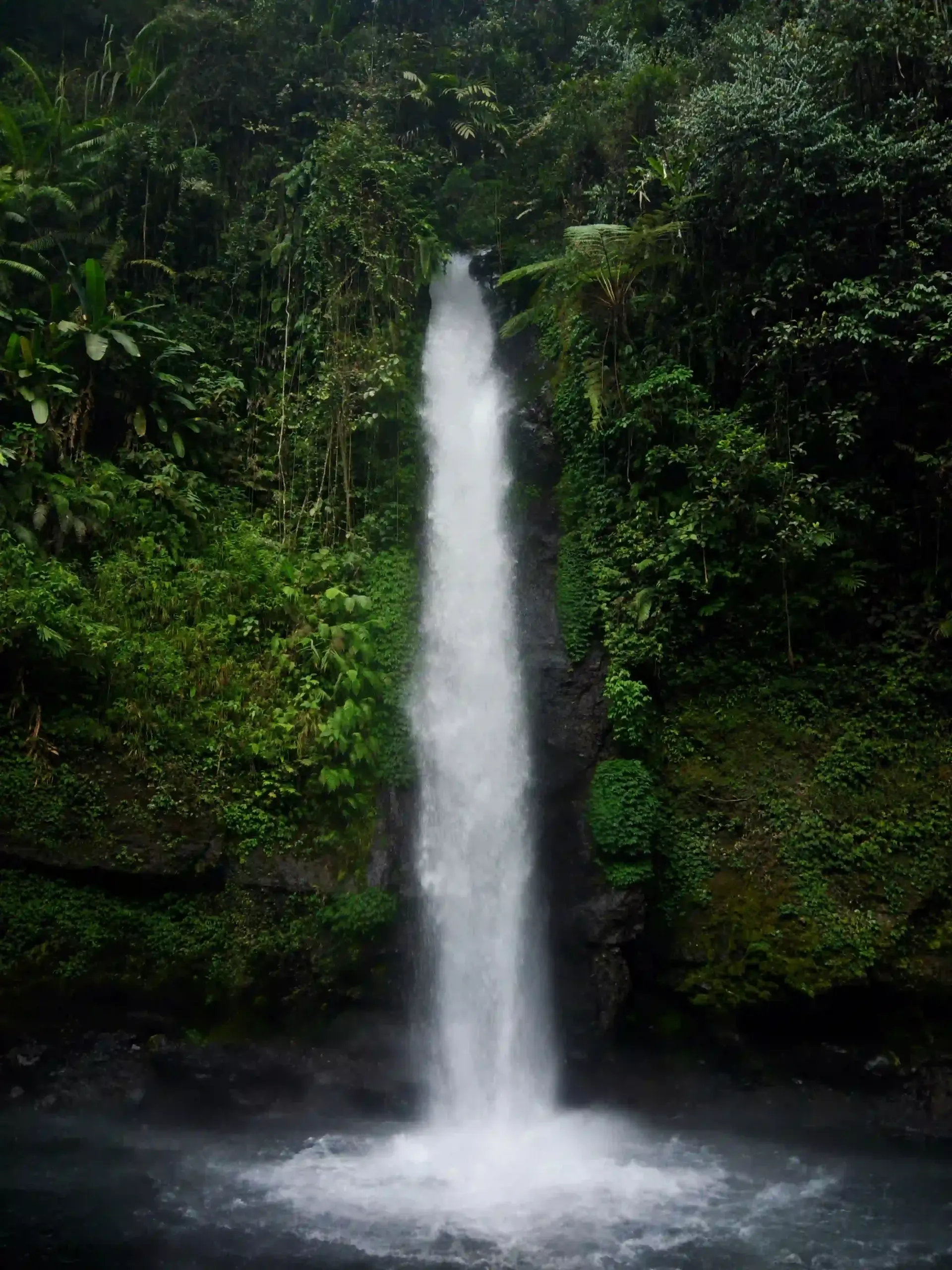 Cascada Alto Iglesia visible desde La Mansion Villacarmelo Cali