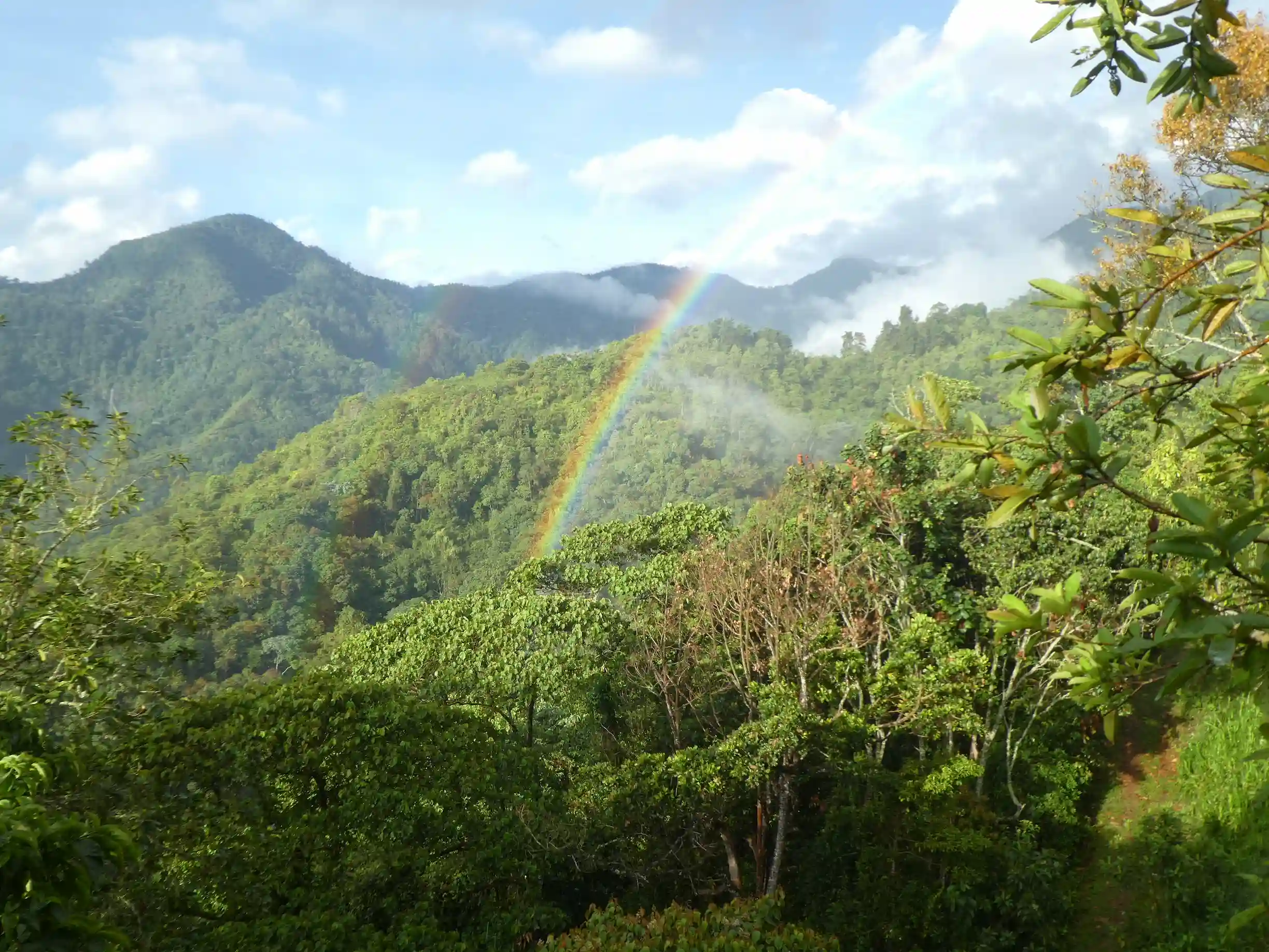Vista panoramica arcoiris desde La Mansion DosQuebradas Valle del Cauca
