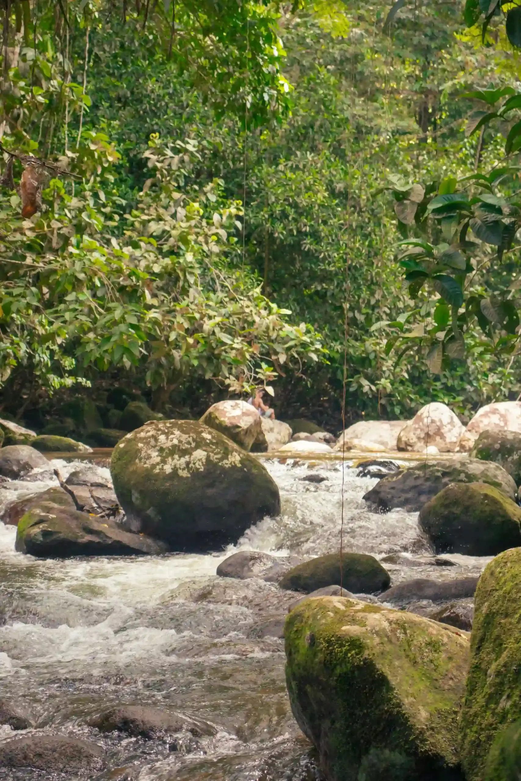 Rio Pance ecosistema Valle del Cauca Colombia vista amplia